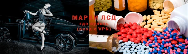 прущие грибы Краснослободск