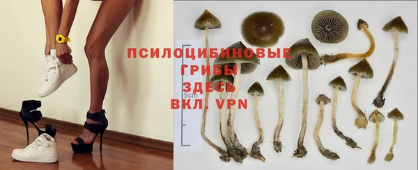 МДПВ Краснотурьинск