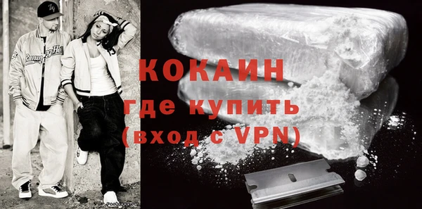 прущие грибы Краснослободск