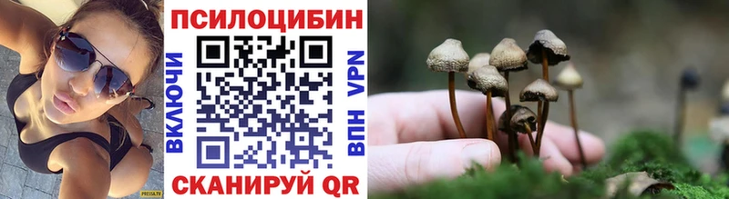 Купить  Белогорск  Галлюциногенные грибы мицелий 